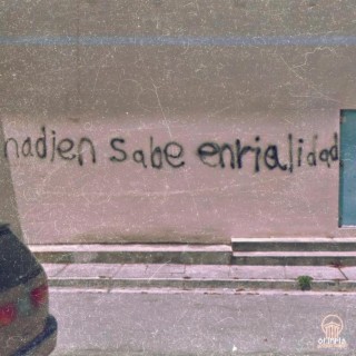 nadien sabe enrialidad