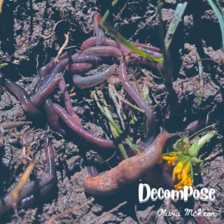 Decompose lyrics | Boomplay Music