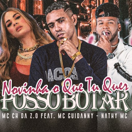 Novinha o Que Tu Quer / Posso Botar ft. mc guidanny & nathy mc | Boomplay Music