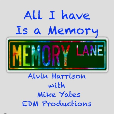 All I Have Is A Memory | Boomplay Music