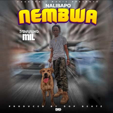 Nalibapo nembwa | Boomplay Music