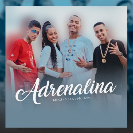 Adrenalina ft. MC LK OFICIAL & MC Hzim | Boomplay Music