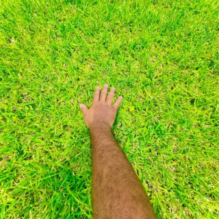 Touch Grass