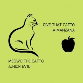 Meowo the Catto