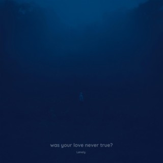 was your love never true?