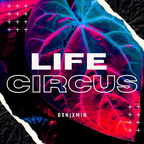 Life Circus | Boomplay Music