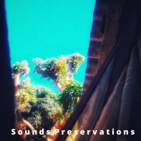 Sound Preservation 002