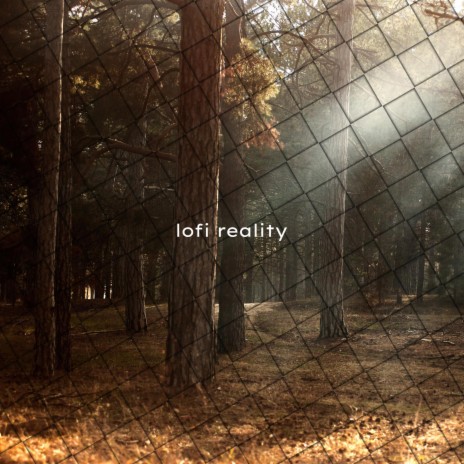 Lofi reality eight | Boomplay Music