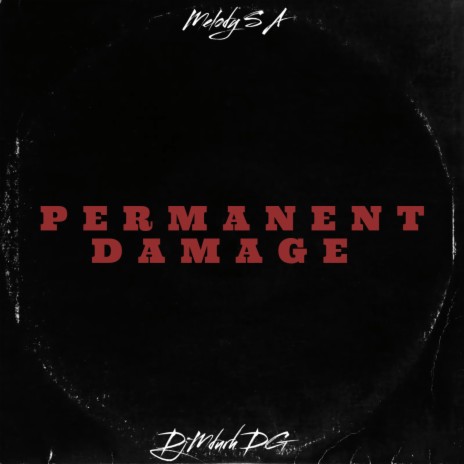 Permanent Damage ft. DjMdurh DG | Boomplay Music
