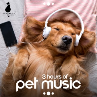 3 Hours Of Pet Music: Relaxing Music To Soothe And Comfort Your Pets (Cure Separation Anxiety!)