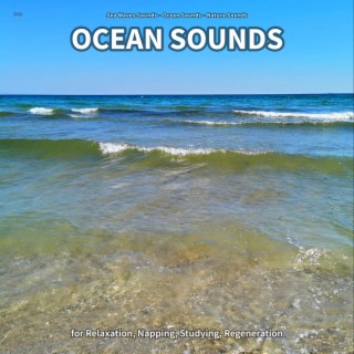 ** Ocean Sounds for Relaxation, Napping, Studying, Regeneration