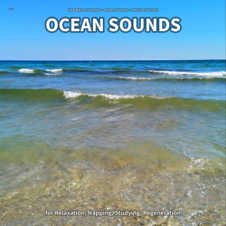 Ocean Sounds, Part 24 ft. Ocean Sounds & Nature Sounds