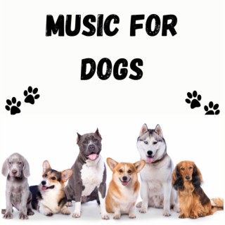 Music For Dogs (Vol.202)