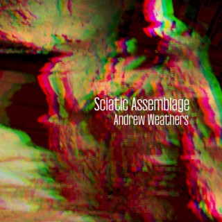 Sciatic Assemblage