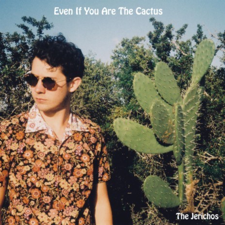 Even If You Are The Cactus | Boomplay Music