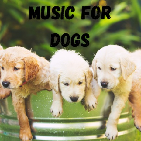 Dog Snores ft. Music For Dogs Peace, Relaxing Puppy Music & Calm Pets Music Academy | Boomplay Music