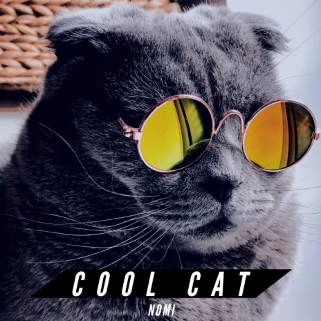 Cool Cat | Boomplay Music