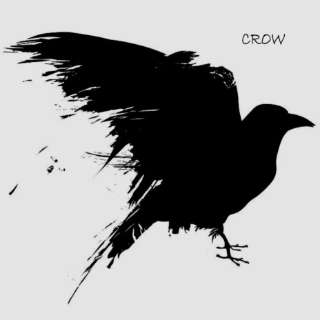 Crow | Boomplay Music