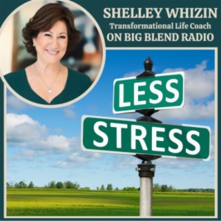 Shelley Whizin - How to Navigate Stress and Find Joy