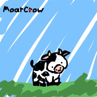Cow Stuff