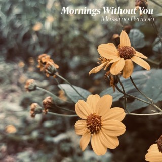 Mornings Without You