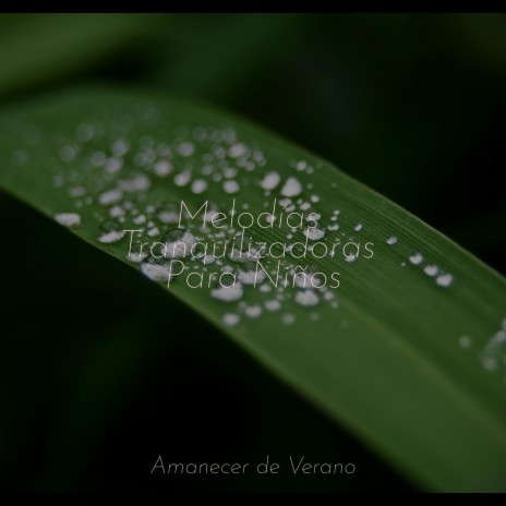 Silencio Lúgubre en Soledad ft. Mantra para Dormir & Sleep Baby Sleep | Boomplay Music