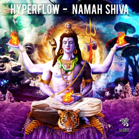 Namah Shiva | Boomplay Music