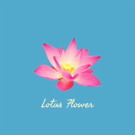Lotus Flower | Boomplay Music