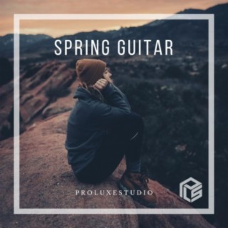 Spring Guitar