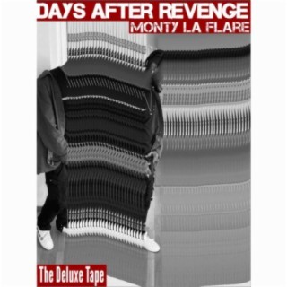 Days After Revenge