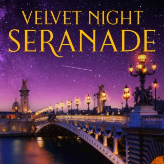 Velvet Night Seranade