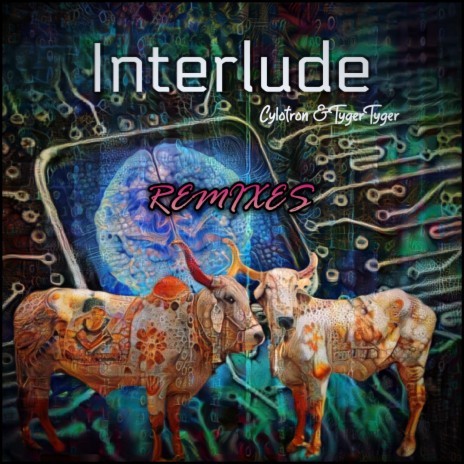 Interlude ft. TygerTyger