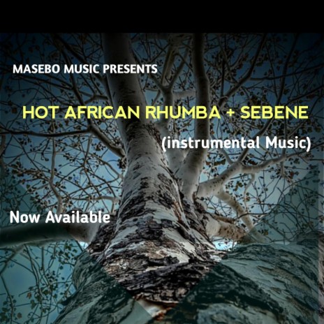 Hot African Rhumba & Sebene Beat