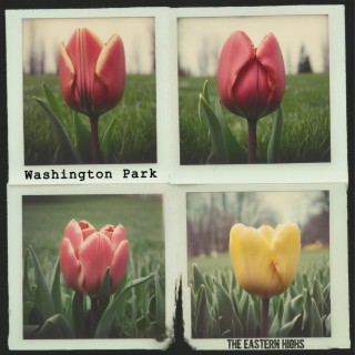 Washington Park