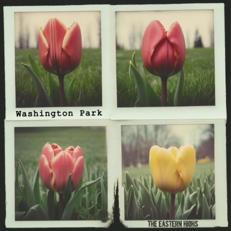 Washington Park | Boomplay Music