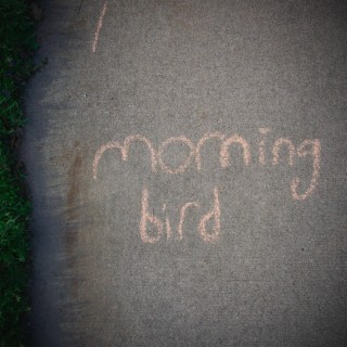 Morning Bird