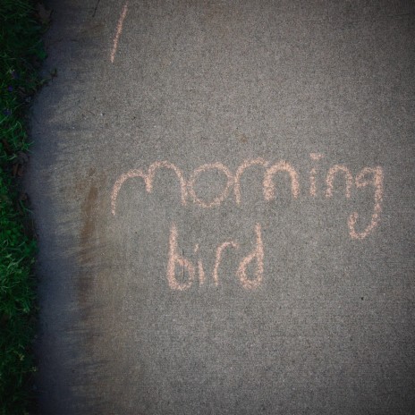 Morning Bird | Boomplay Music