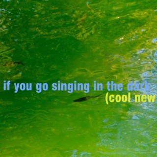 if you go singing in the dark (Cool New Version)