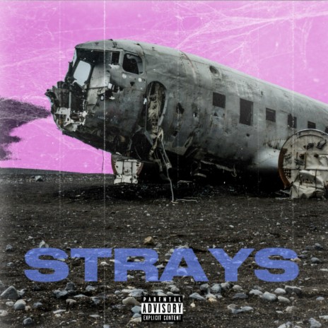 Strays | Boomplay Music