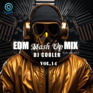 EDM Mash Up Mix, Vol. 14