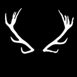 Stag