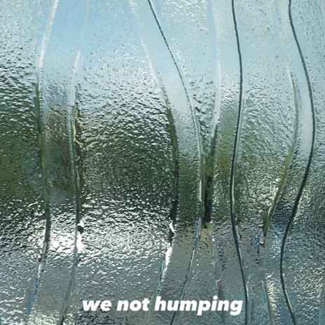 We Not Humping | Boomplay Music