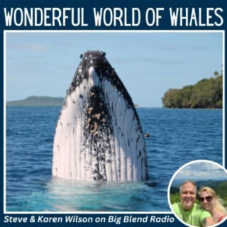 Steve & Karen Wilson - Wonderful World of Whales