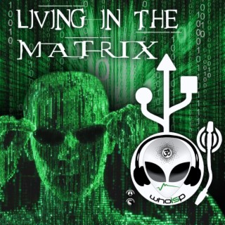 Living In The Matrix