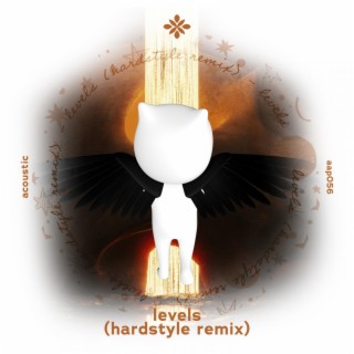 levels (hardstyle remix) - acoustic