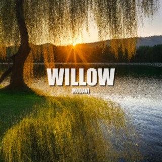 Willow lyrics | Boomplay Music