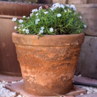 A Collection of Pots