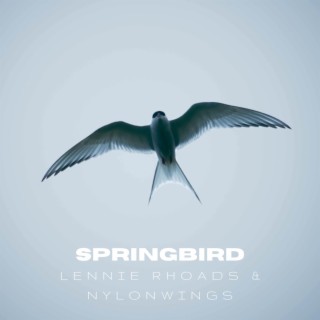 Springbird