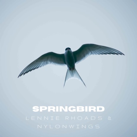 Springbird ft. Nylonwings | Boomplay Music