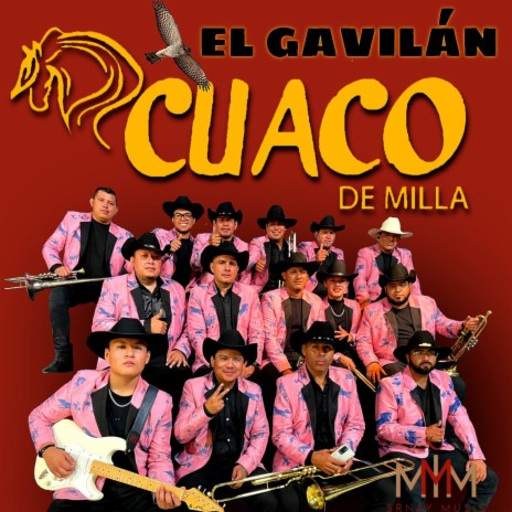 El Gavilán | Boomplay Music